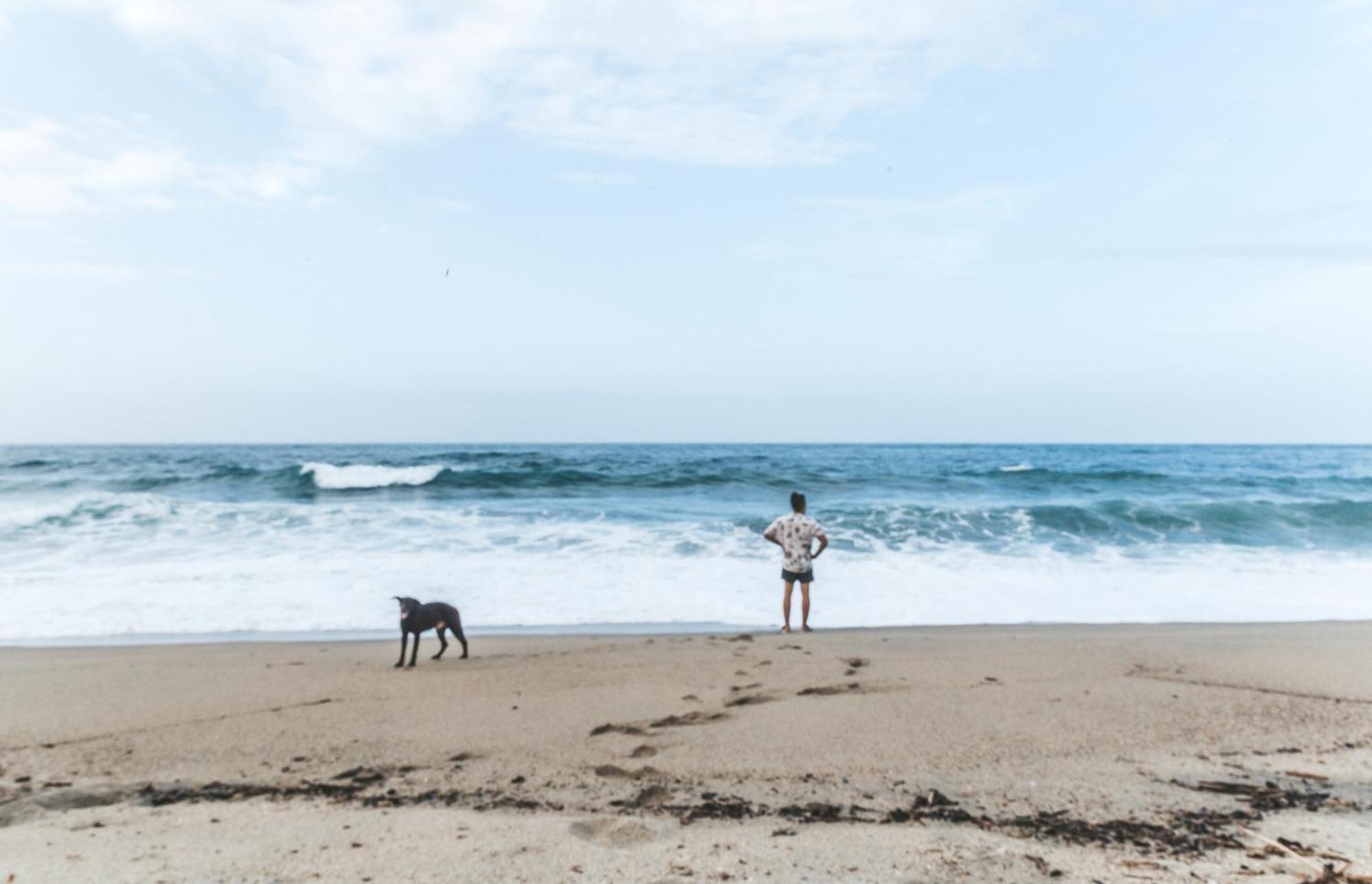 Cabana Wiwa Tayrona Los Naranjos Dış mekan fotoğraf