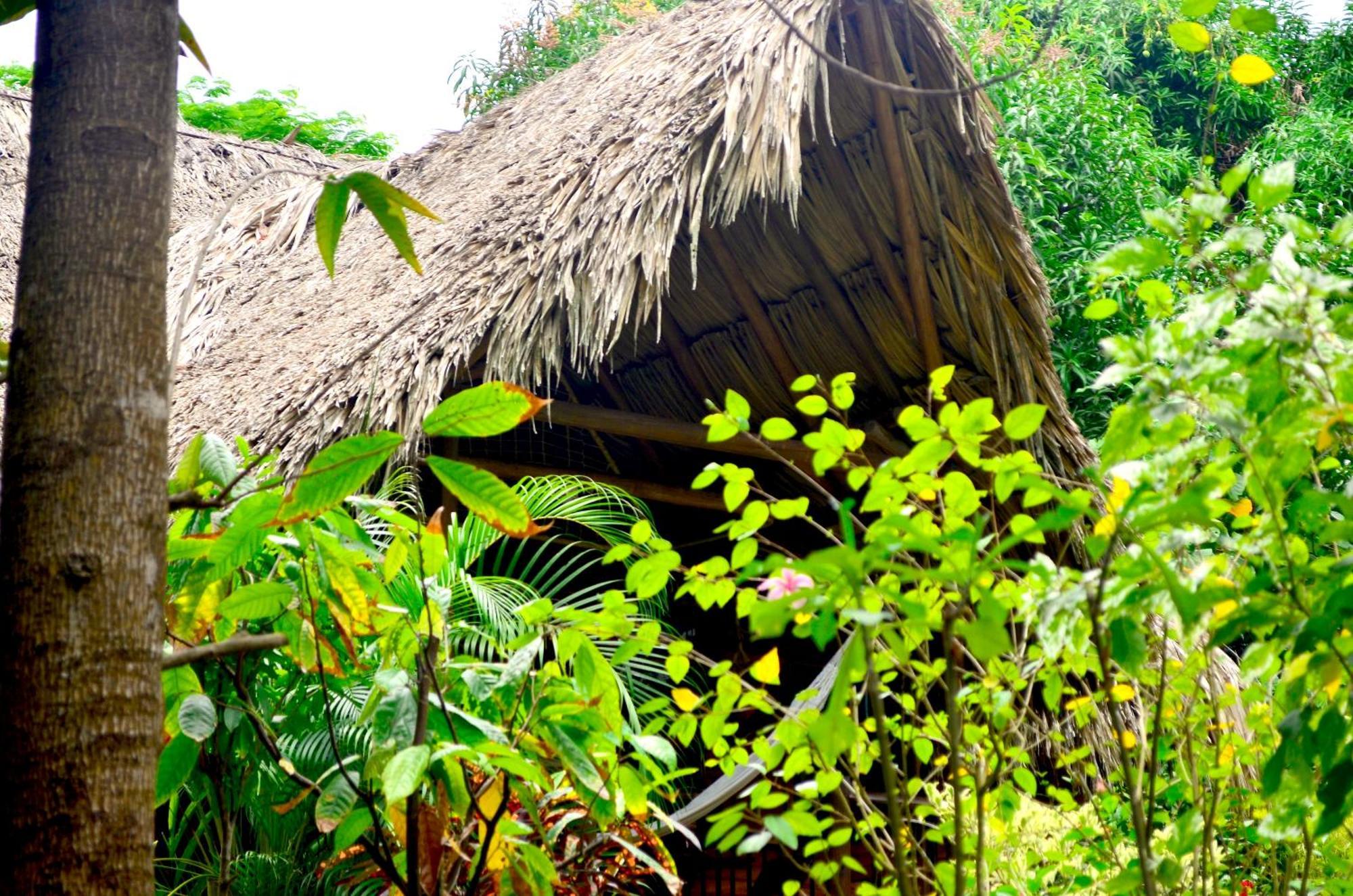 Cabana Wiwa Tayrona Los Naranjos Dış mekan fotoğraf