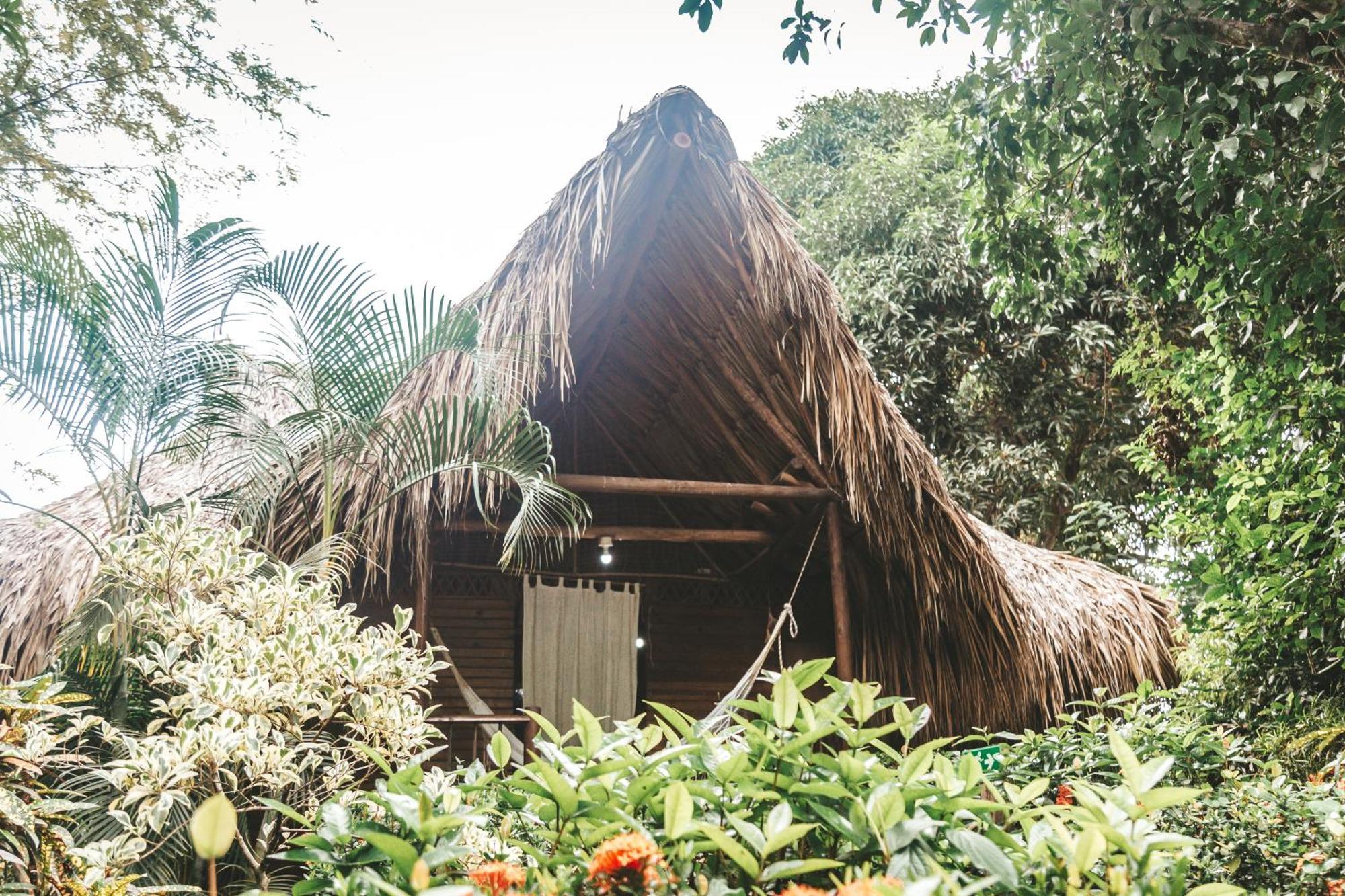 Cabana Wiwa Tayrona Los Naranjos Dış mekan fotoğraf