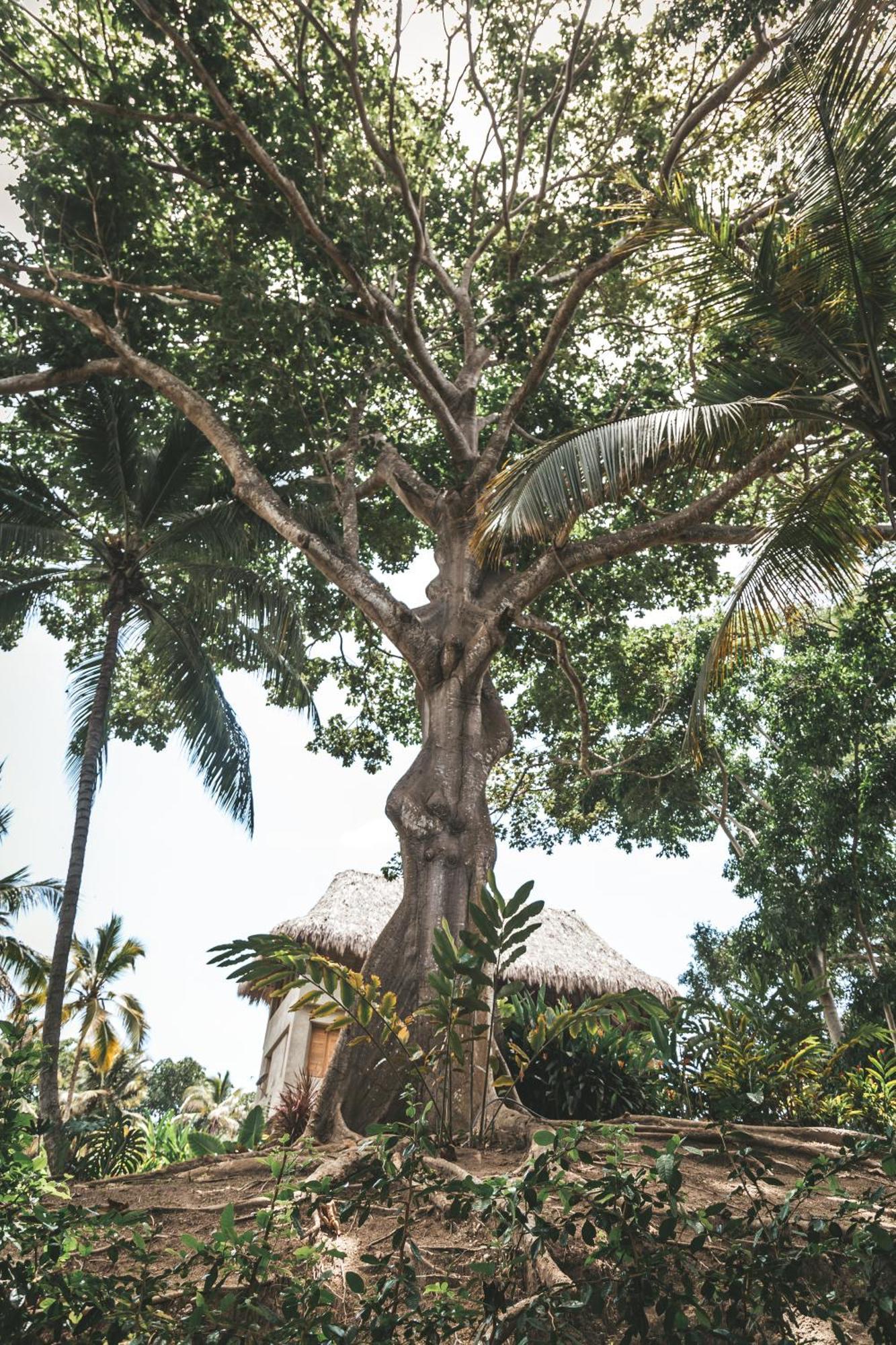 Cabana Wiwa Tayrona Los Naranjos Dış mekan fotoğraf